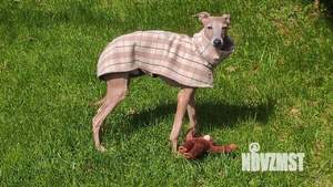 Дом 69м&sup2;, 2-этажный, на длительный срок, 