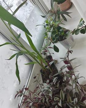 1-к квартира, на длительный срок, 30м2, 2/9 этаж