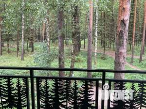 Студия квартира, на длительный срок, 19м2, 1/5 этаж