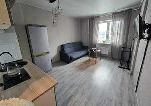 Студия квартира, вторичка, 20м2, 17/17 этаж
