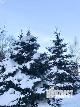 1-к квартира, вторичка, 37м2, 16/19 этаж