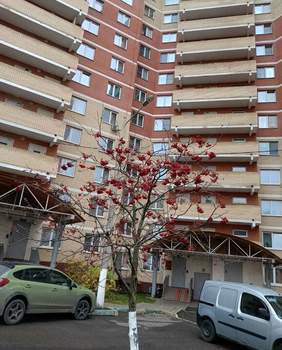 1-к квартира, вторичка, 38м2, 5/17 этаж